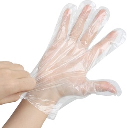 [GTPOL1100] GUANTES TRANSPARENTE POLY LG 1/100 FD