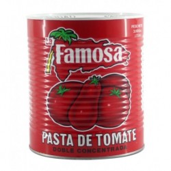 PASTA DE TOMATE LA FAMOSA 6/7,LB