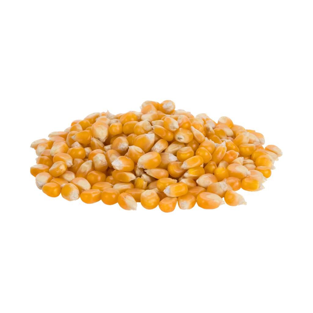 MAIZ POP CORN 50,LB